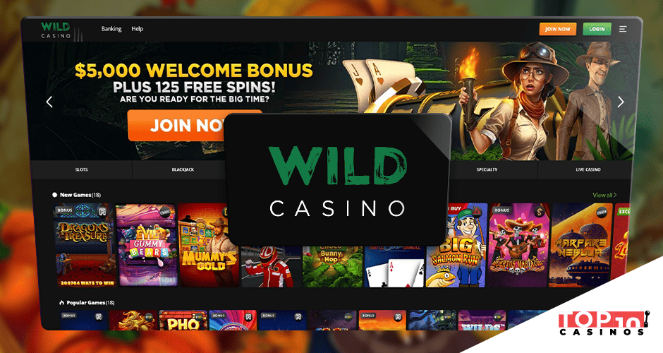 Wild Casino